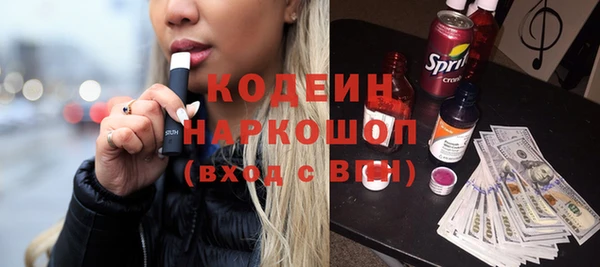 амф Елизово