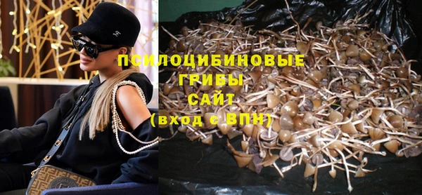 амф Елизово