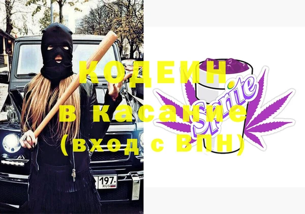 стаф Елабуга