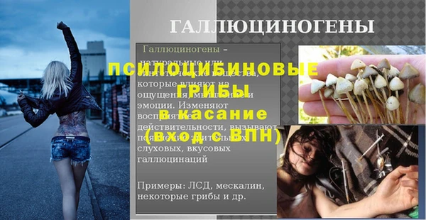 стаф Елабуга