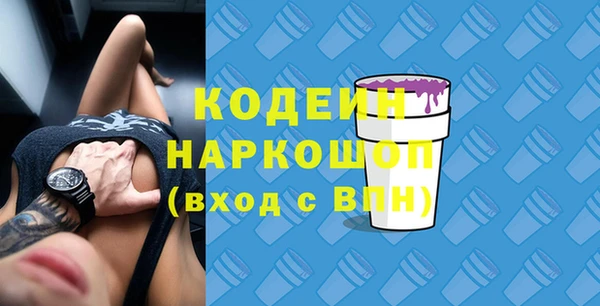 стаф Елабуга
